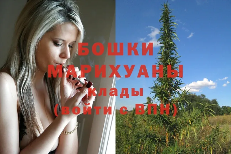 продажа наркотиков  mega как зайти  Каннабис SATIVA & INDICA  Асбест 